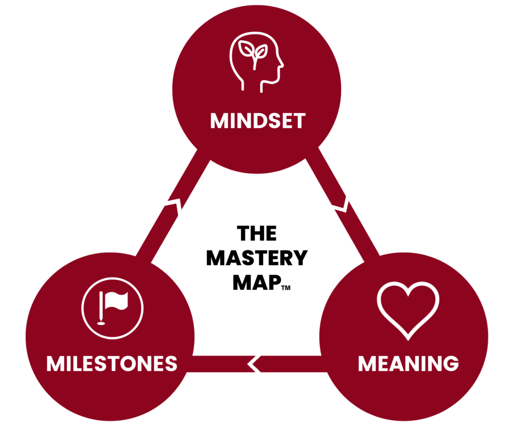 The Mastery Map by Mid-Career Mastery and Adrion Porter